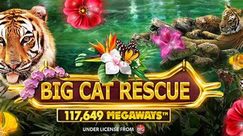 Big Cat Rescue Megaways Betfair